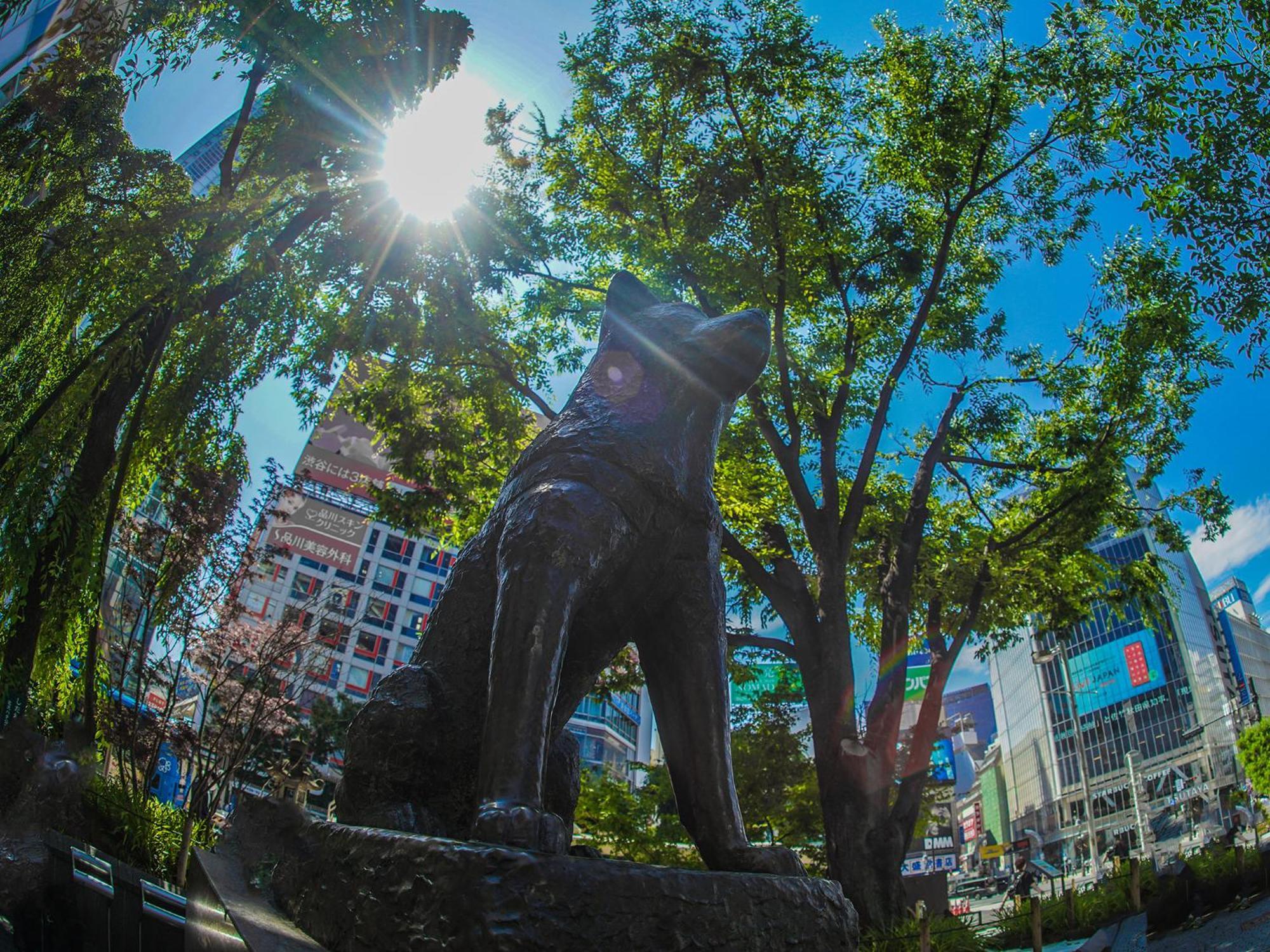 Shibuya Creston 4* Tōkyō